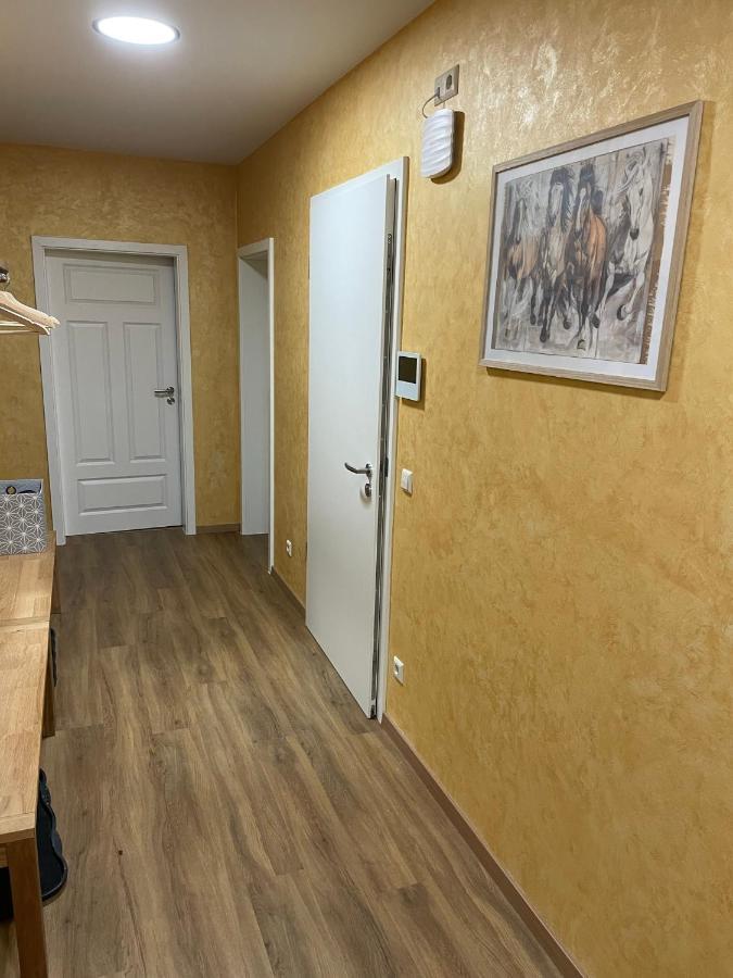 Apartment-Haus Landeskrone Dresde Exterior foto